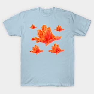 Tulipa  &#39;Monarch Parrot&#39;   Parrot Group  Tulip T-Shirt